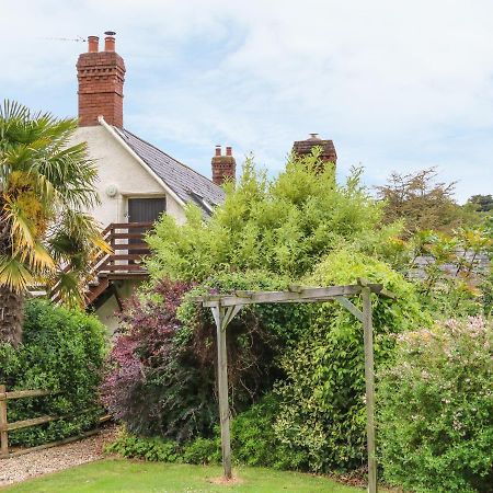 Fig Trees - Wibble Farm Apartment Williton Luaran gambar