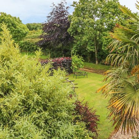 Fig Trees - Wibble Farm Apartment Williton Luaran gambar