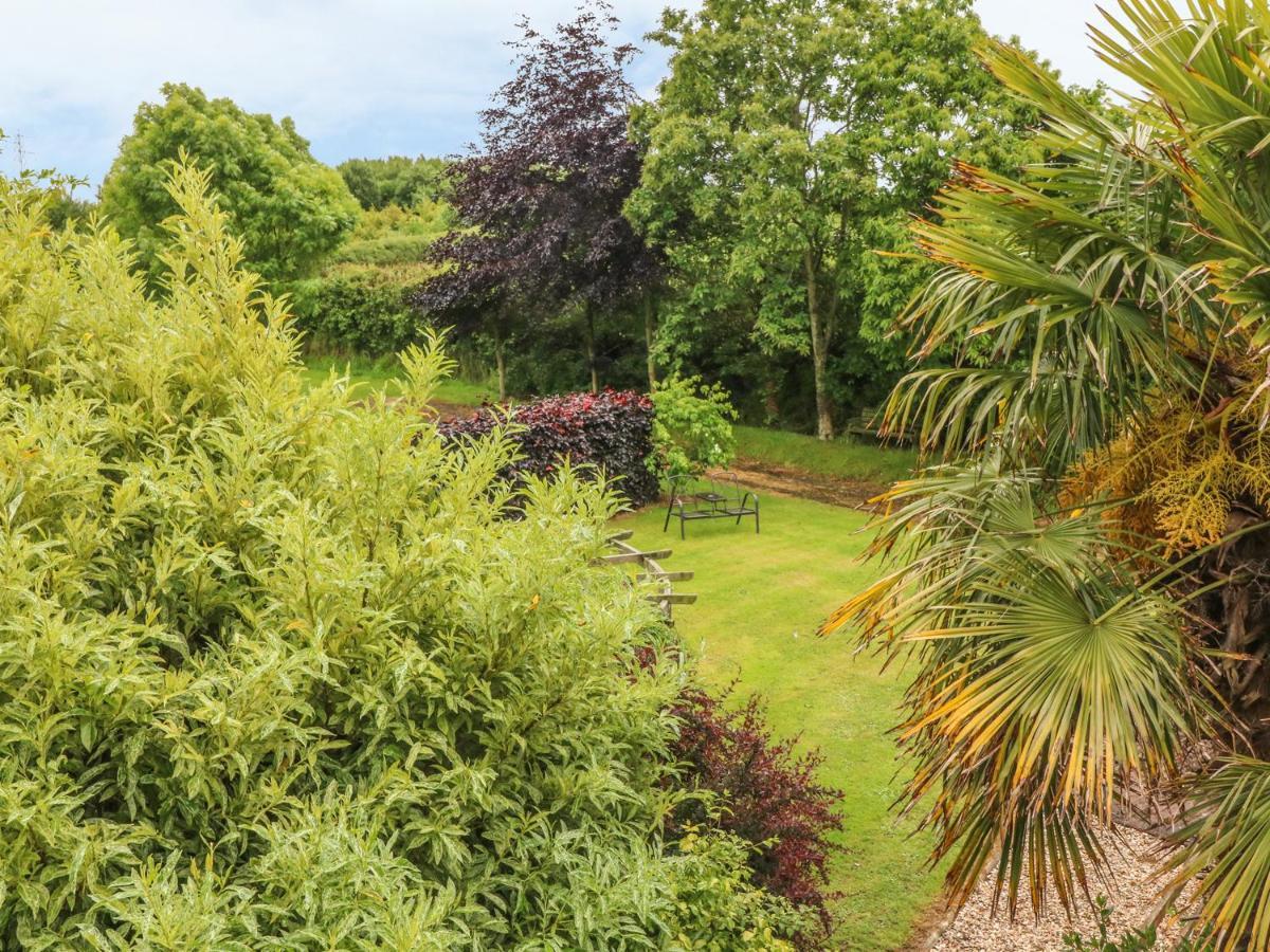 Fig Trees - Wibble Farm Apartment Williton Luaran gambar